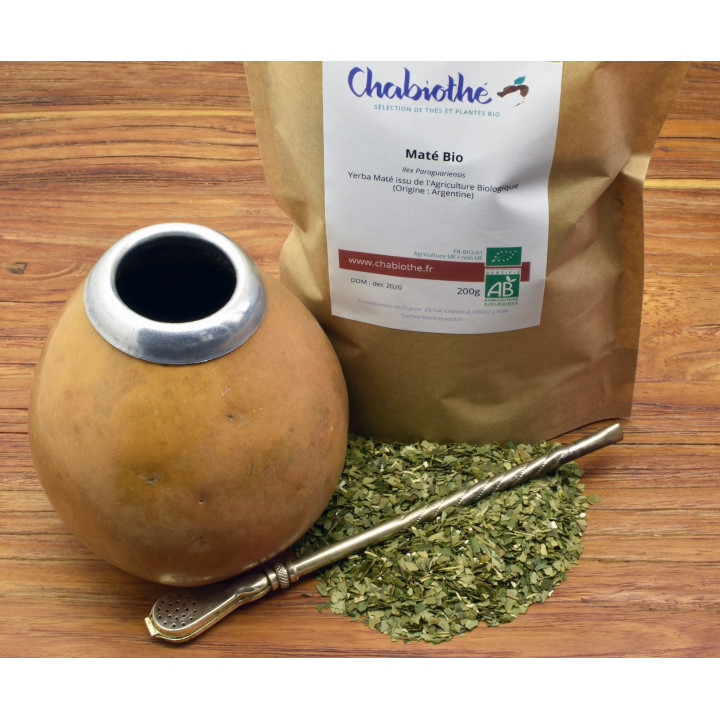 yerba Maté infusion