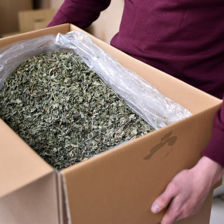 Infusion de Menthe Poivrée Bio