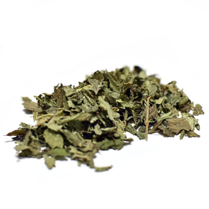tisane de Mélisse