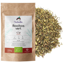 rooibos vert bio non fermenté