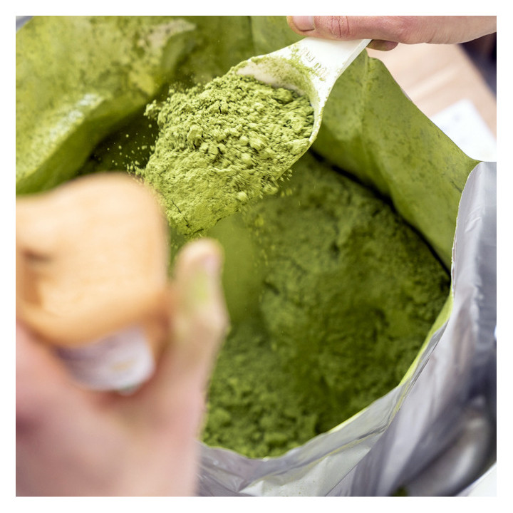 Thé vert Matcha Bio