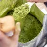 Thé vert Matcha Bio