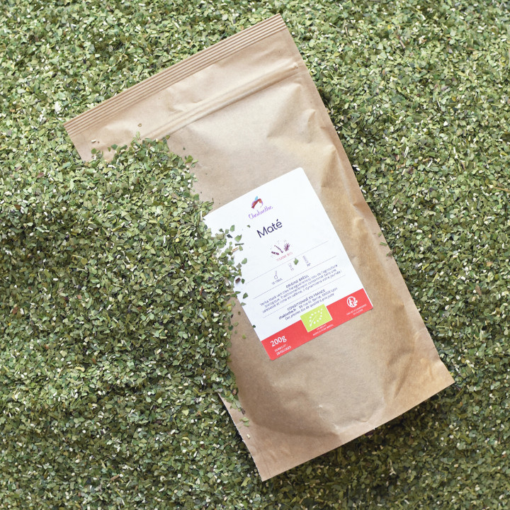 yerba mate infusion