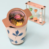 Tisane Allaitement Bio