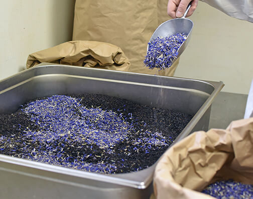 préparation du thé earl grey