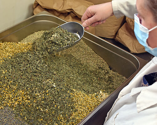 préparation de la tisane pour dormir